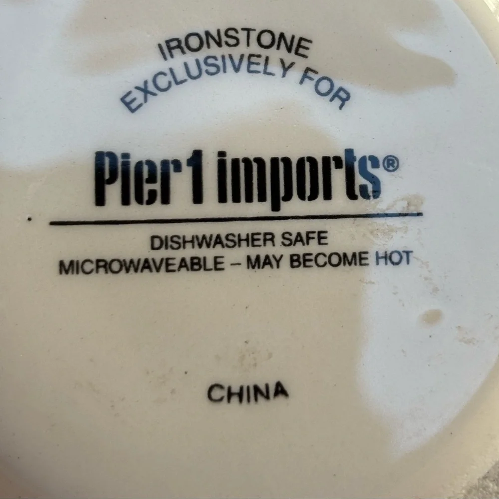 Pier 1 Imports Watercolor Zebra Oversized 16oz Coffee Mugs Tea Cup